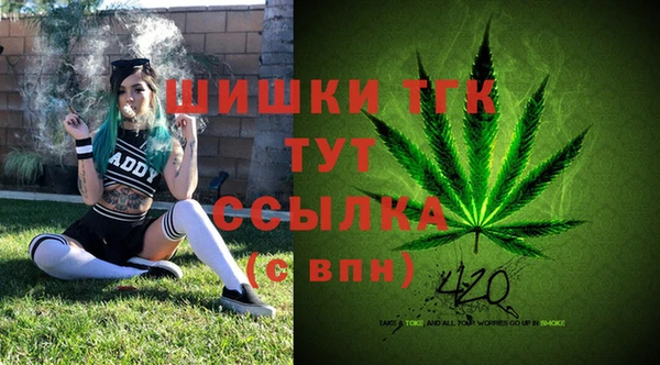 МДПВ Надым