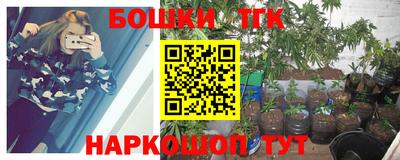 эйфоретик Гусь-Хрустальный