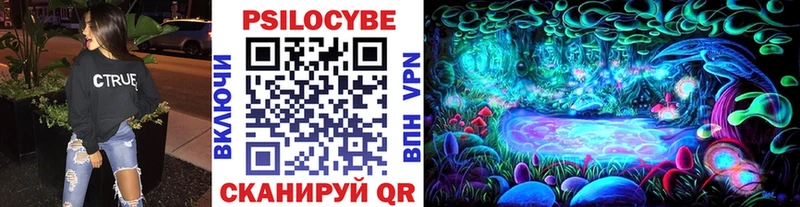 даркнет сайт  Новочебоксарск  Псилоцибиновые грибы Cubensis 