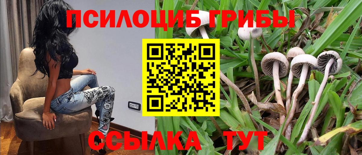 Псилоцибиновые грибы ЛСД  Вход с VPN  что такое   Новочебоксарск 