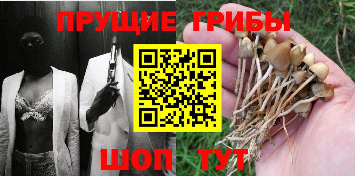 Галлюциногенные грибы GOLDEN TEACHER Новочебоксарск